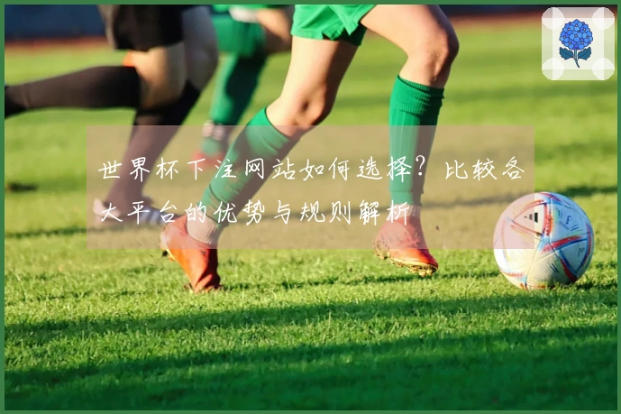世界杯下注网站如何选择？比较各大平台的优势与规则解析